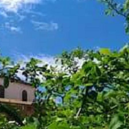 Il Gelsomino Home Holiday Alcamo Exteriör bild